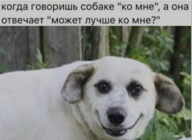 Солянка без копчёностей