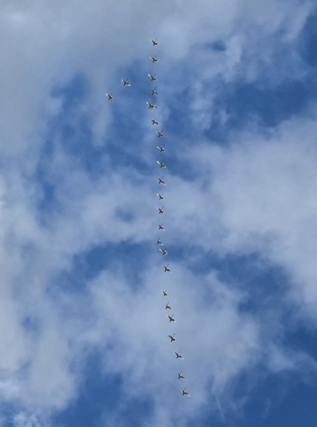 А из нашего окошка осень видна немножко)