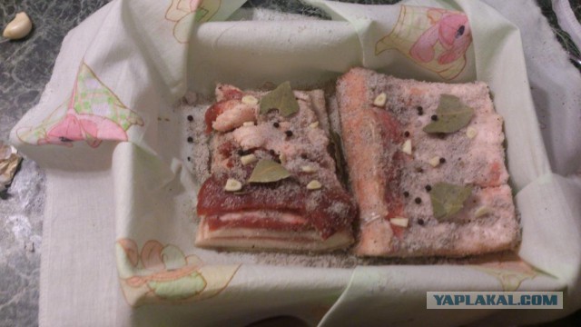 САЛО - рецепты приготовления