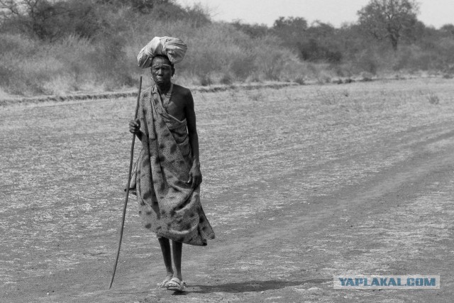 Нет денег на приличное жилье? Купите "путинку"!