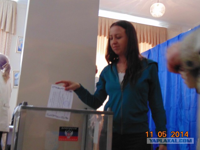 Подборка фото с референдума