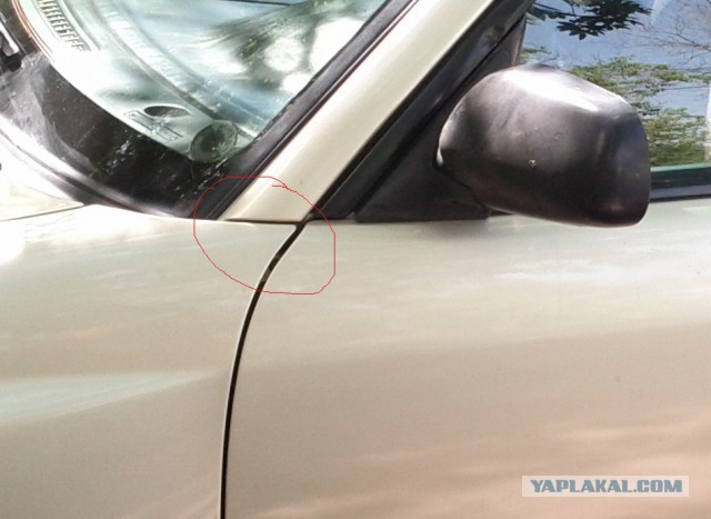 Отчет о работе Автоботаника не от Автоботаника.