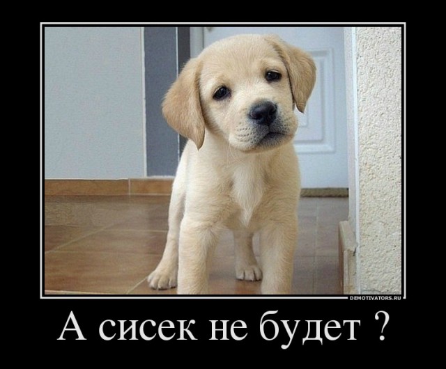 Душевный  выпускной в деревенской школе