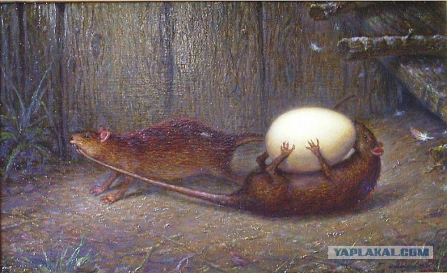Так. Немного для расслабона