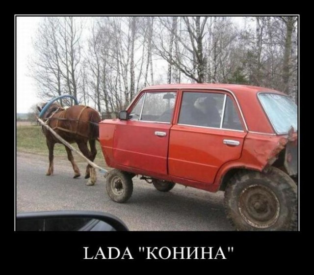 Весёлые картинки