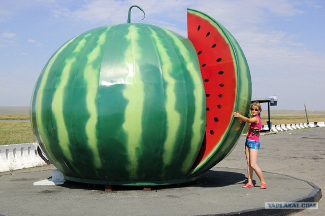 Арбуз. Начало...