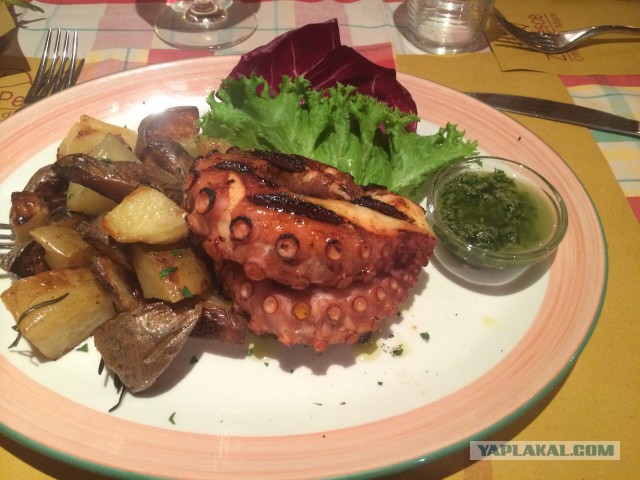 Осьминог по-галисийски. Pulpo a la Gallega.