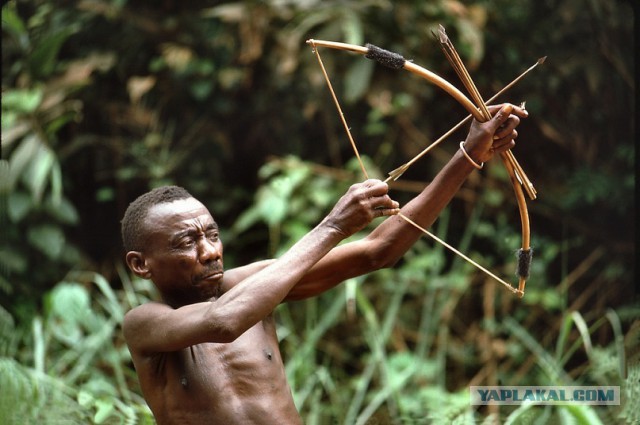 Сирия: Рукожопство боевиков