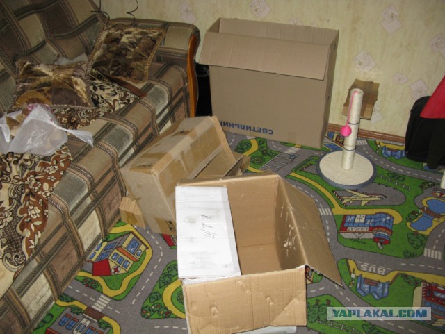 TERMINATOR одно из продолжений