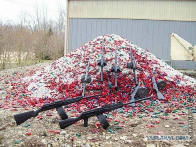 Альтернативный взгляд на выживание в БП