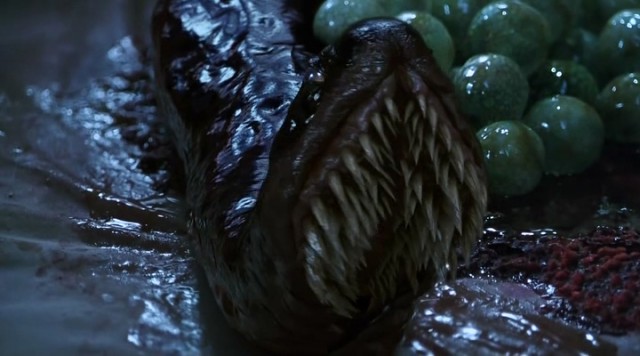 Герудотерапия