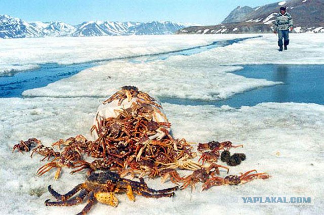 Магадан, старые и новые фотки