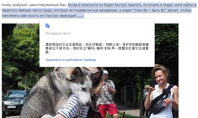 Срочно на ручки!