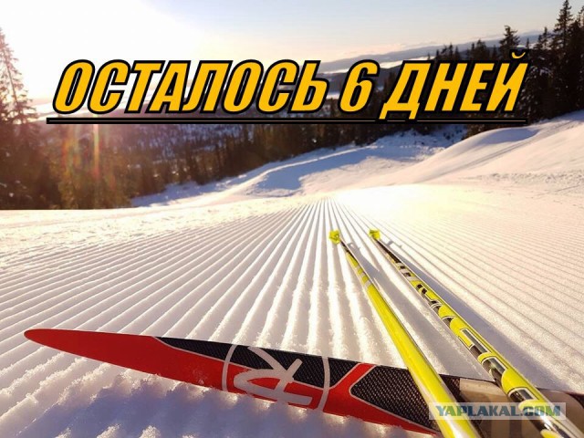 Биатлон. Межсезонье.