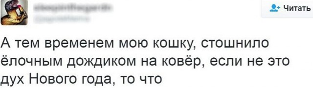 Всячина. Картинки и тексты картинками