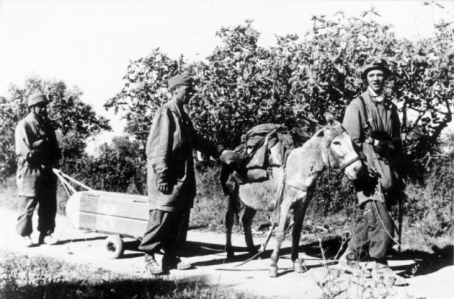 Фотографии к "Нахальному минированию" и "Лехе"