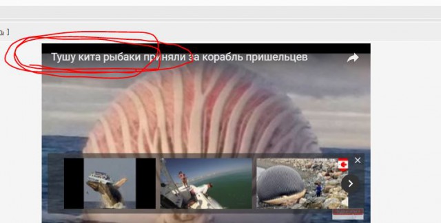 Странная находка в Тихом океане