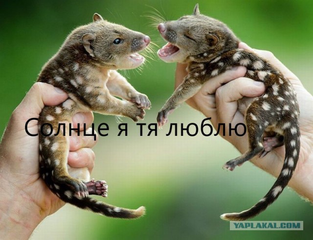 Подборка интересных и веселых картинок