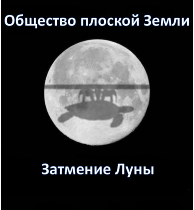 Смешные комментарии из социальных сетей 08.12.2017