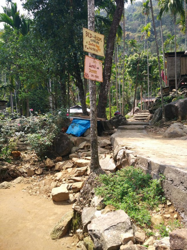 К живым мостам и обратно. Заметки из Индии