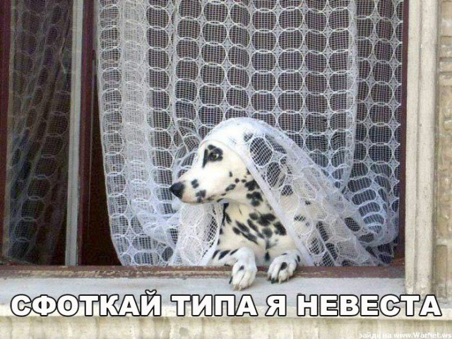 Нестандартный юмор