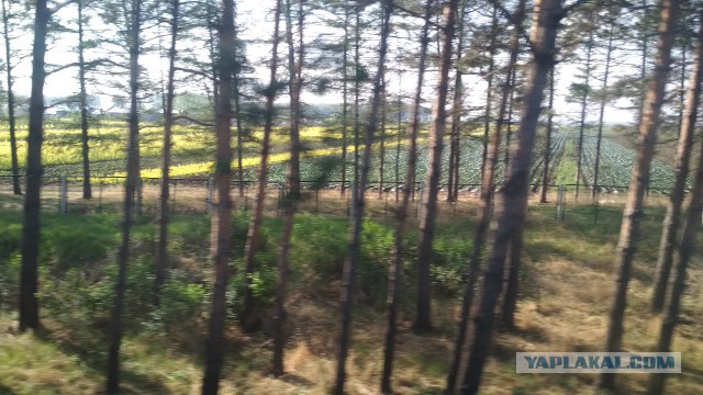 Как я в Китай поехал