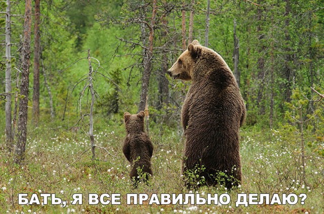Нестандартный юмор