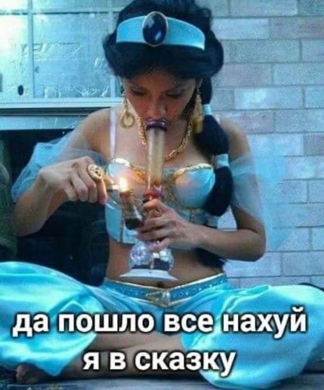 Лента прикольных картинок