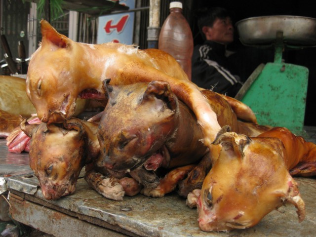 Какие продукты едят только славяне