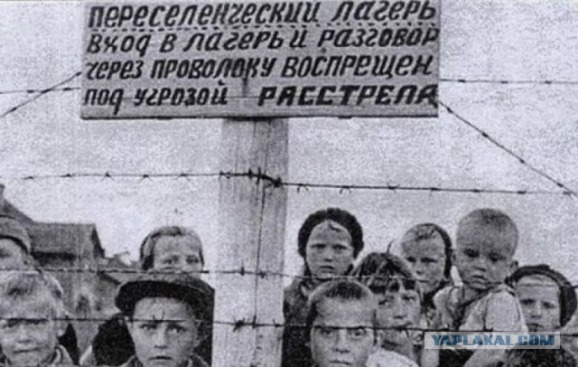 Быдло гонит на Гаранта