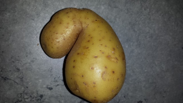 Деревянный PornHub