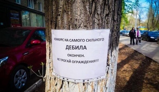 И всё-таки она наша. Лента картинок