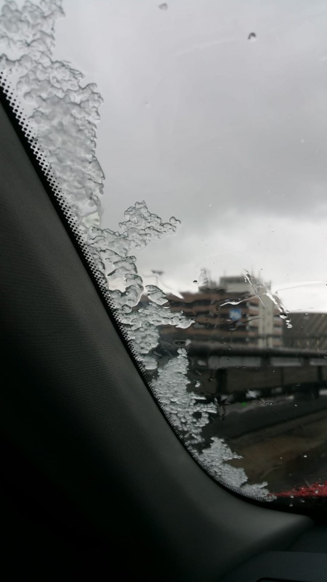 Добро пожаловать в Сибирь 28.04.2019