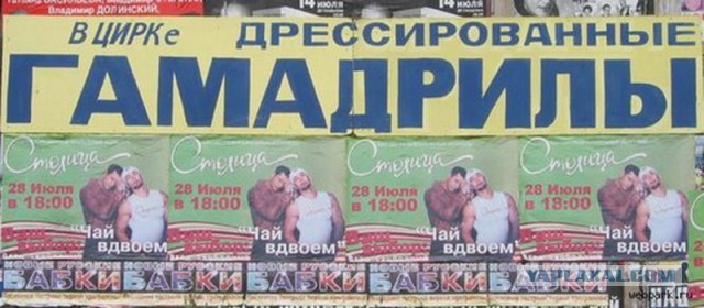 Бэнкси постарел, постарел...