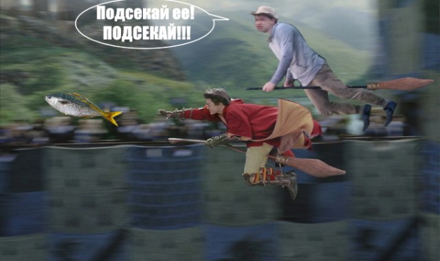 О, Боги фотошопа пАмАгите!