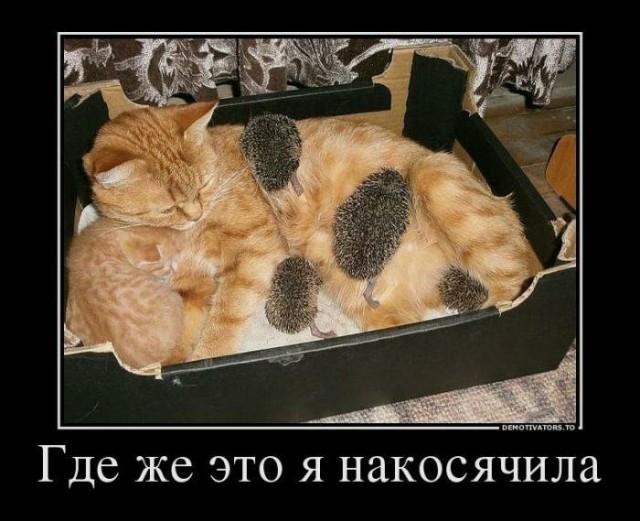 Пара-пара-пам! Фьють. Картинки с надписями.
