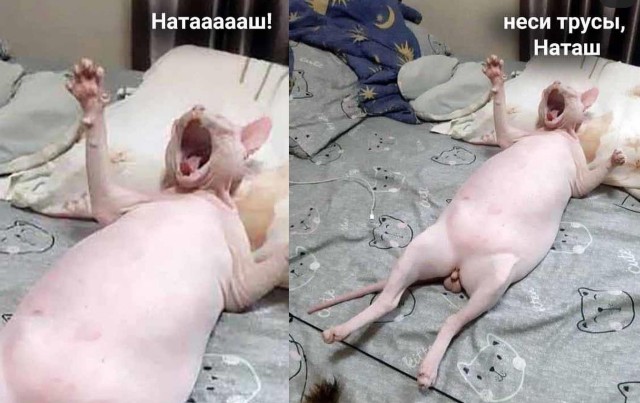 Люди очнитесь!