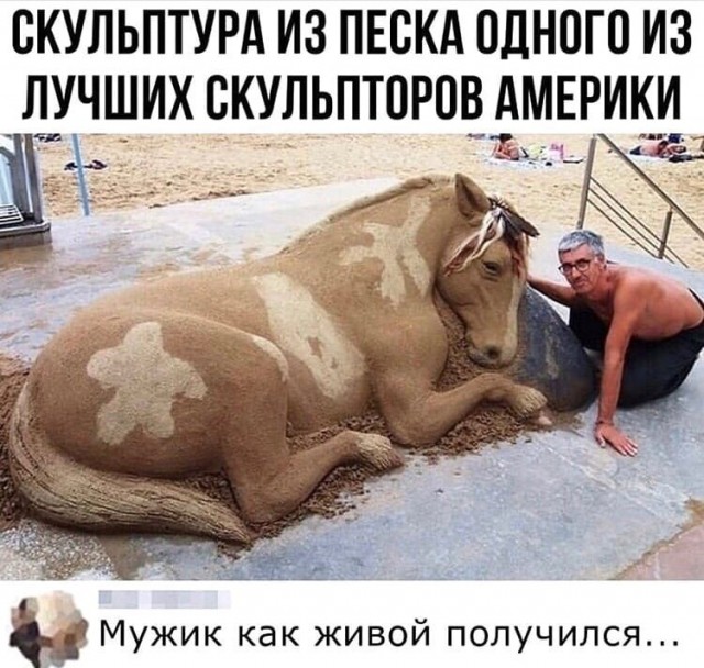 Забавные комментарии из социальных сетей 01.06.20