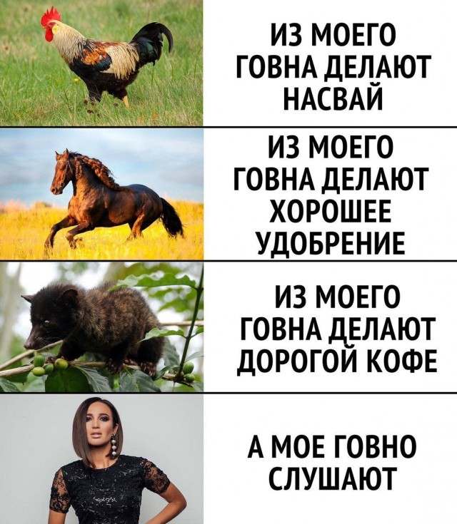 Русская песня стала яблоком раздора: На курорте в Румынии разгорелась жестокая драка с пострадавшими