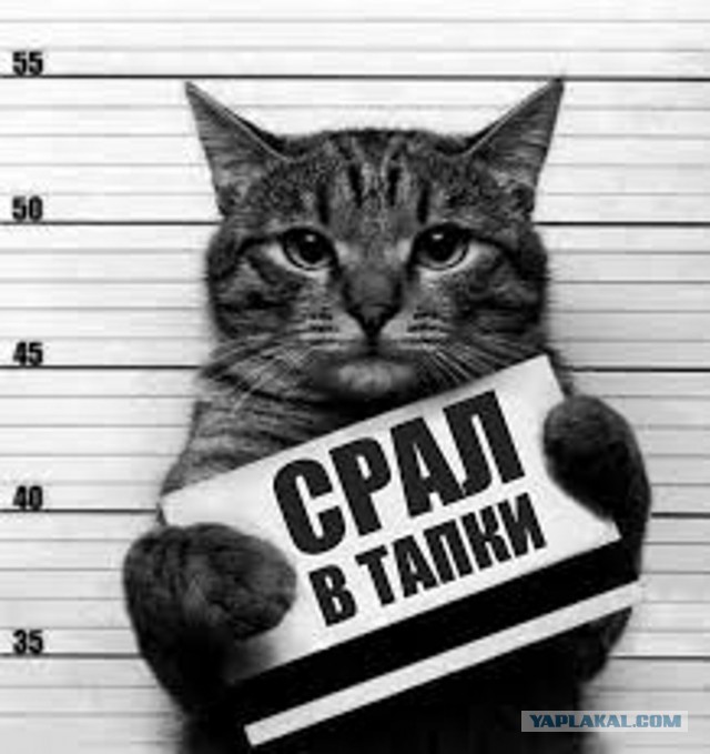 Какую самую отвратительную тайну вы скрываете прямо сейчас?