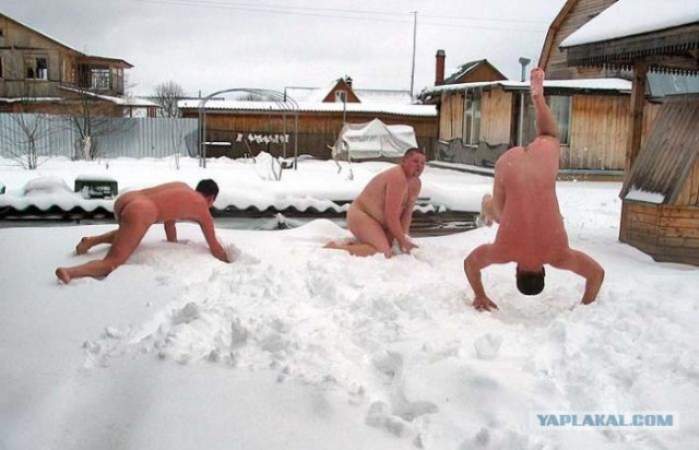 Фотожаба : Бешеные раки