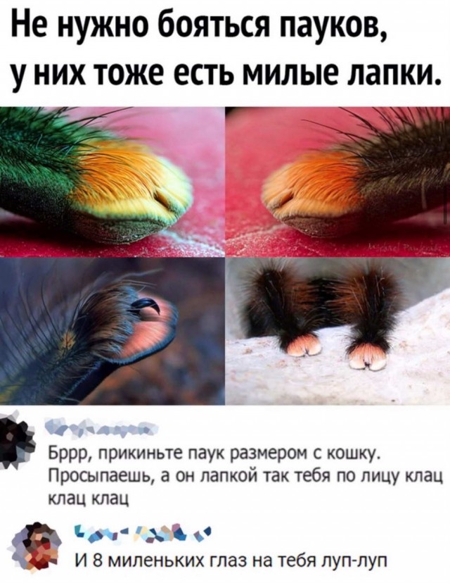 Бредзона 12.11.2020