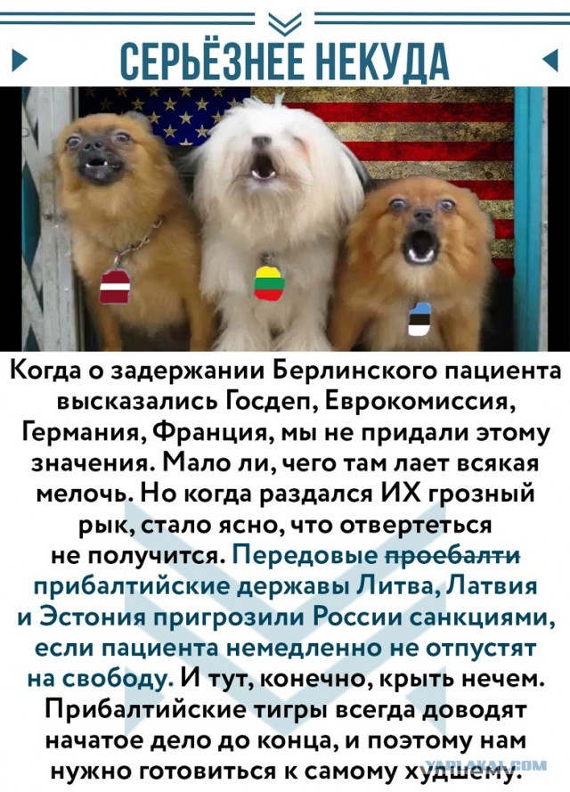 Страны Прибалтики пригрозили России санкциями ЕС за задержание Навального