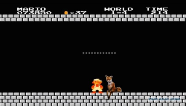 Таксидермия + наркомания