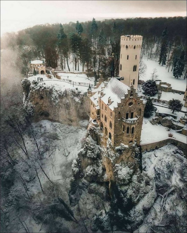А лягушат не хотите ли?