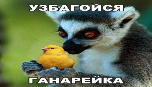 Весёлый полтишок 17.03