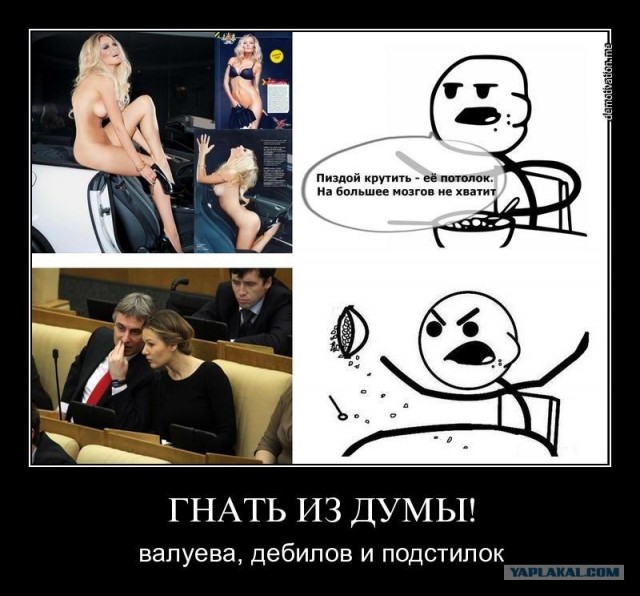 Последняя речь Гудкова в госдуме