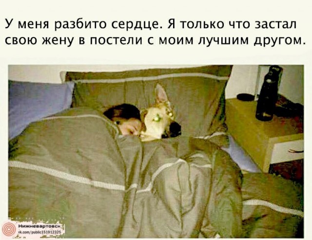 Так себе картинки 1.05.21