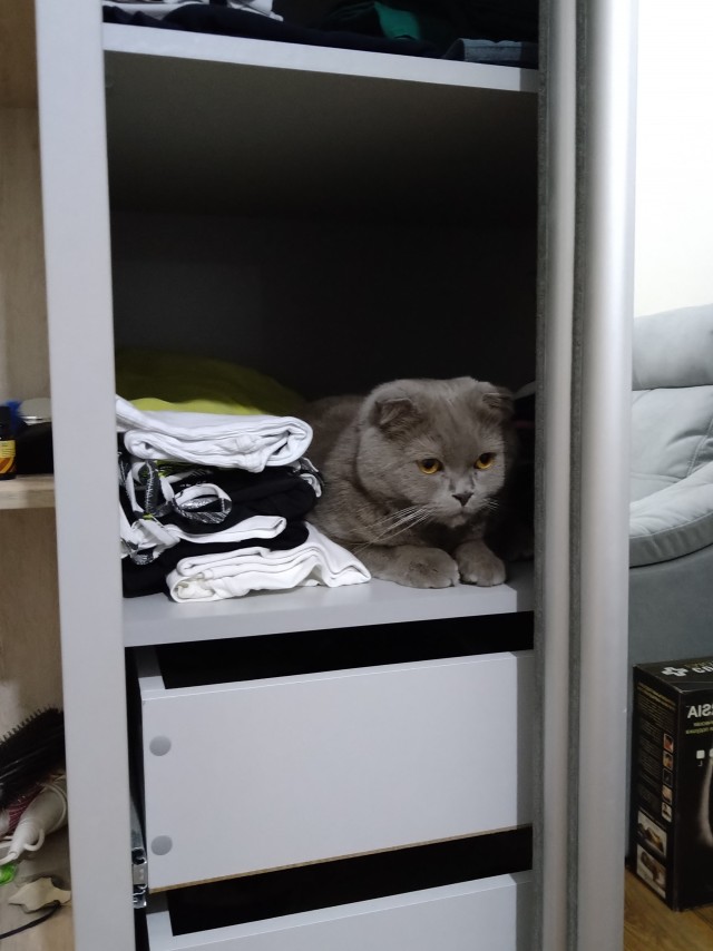 Вторник жеш!