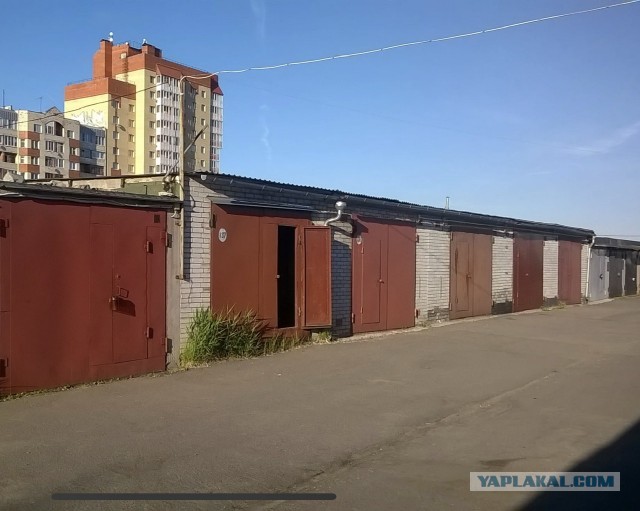 Отзывы на Авито? Или осеннее обострение